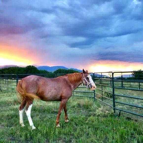 Meet your Posher, Virginia - Picture 1 of 1